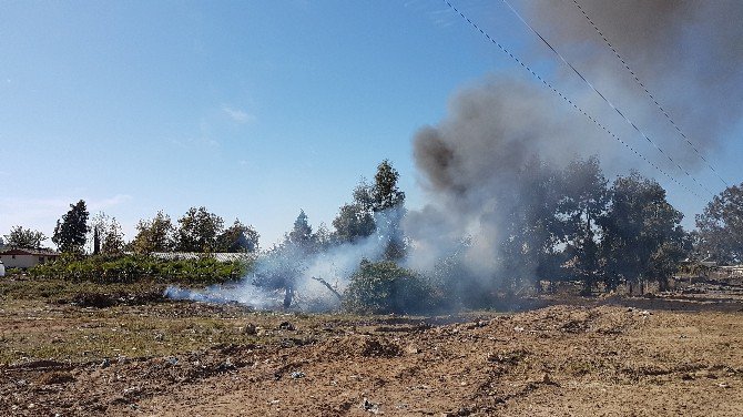 Çöplük Yangını Ucuz Atlatıldı