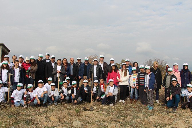 Vezirköprü’de Fidan Dikme Etkinliği