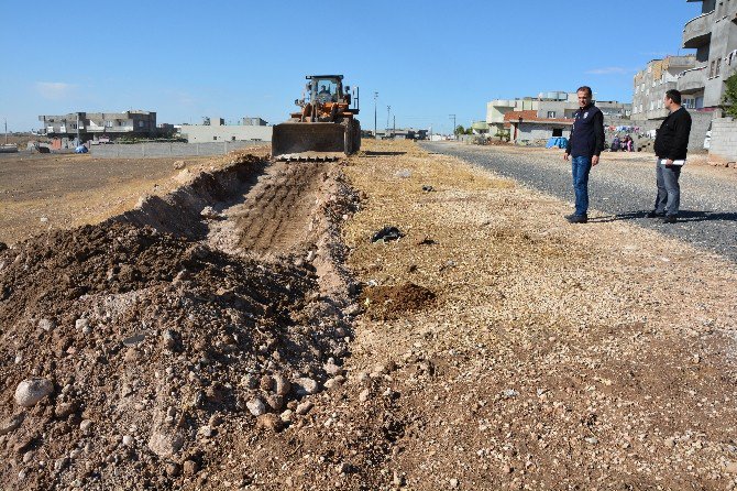 Nusaybin Belediyesi Yağış Öncesi Sokak Çalışmalarına Başladı