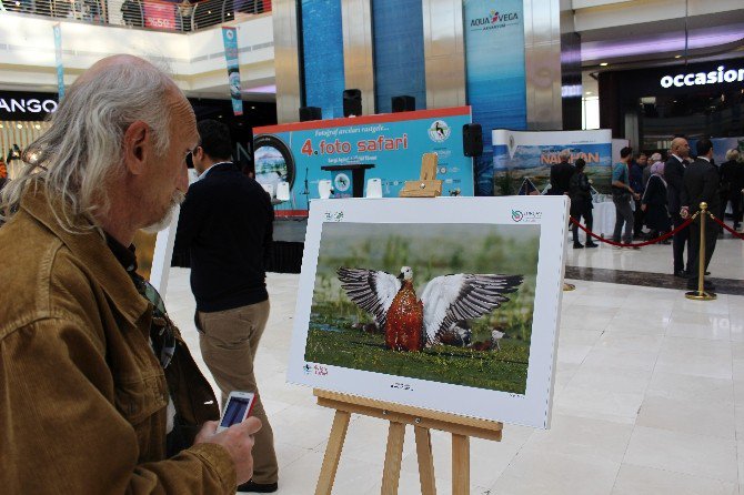 4. Foto Safari Fotoğraf Yarışması