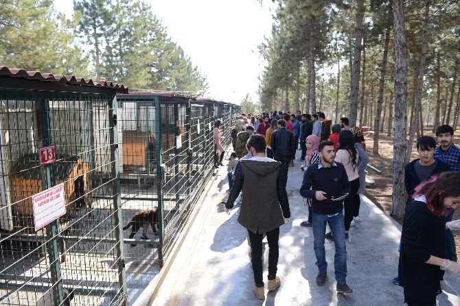 Öğrenciler Hayvan Barınağını İnceledi