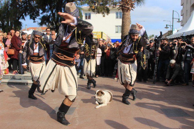 Ayvalık’ta Sokak Hayvanlarına Gösterilen Hoşgörü Dikkat Çekiyor