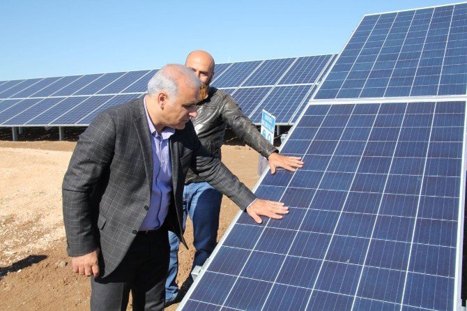 Vali Zorluoğlu, Güneş Enerji Santralinde İncelemelerde Bulundu