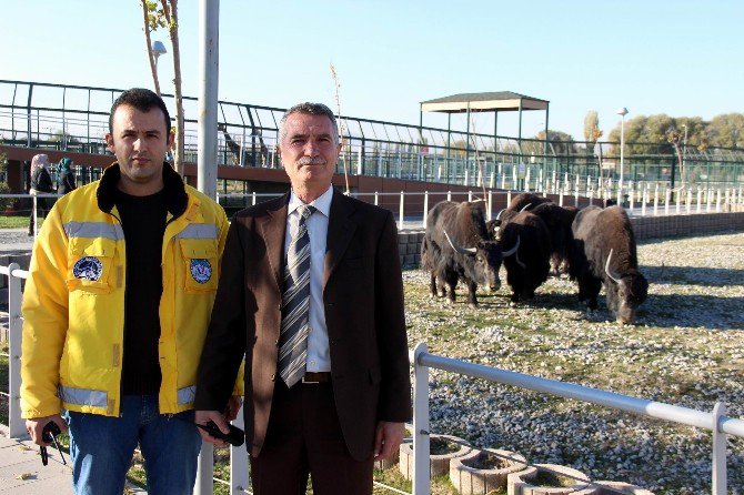 Anadolu Harikalar Diyarı Hayvanat Bahçesi Kışa Hazır