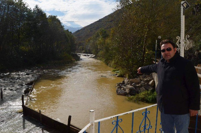 Milyonlarca Balık Üretimi Yapılan Havuzlarda Artık Ot Yetişiyor