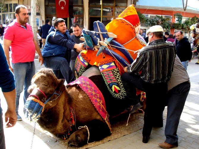 Sarıgöl’de Develere Törenle Havut Giydirildi