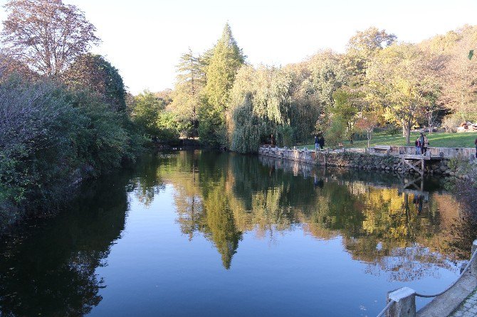 Atatürk Arboretumu’nda Sonbahar Manzaraları Havadan Görüntülendi