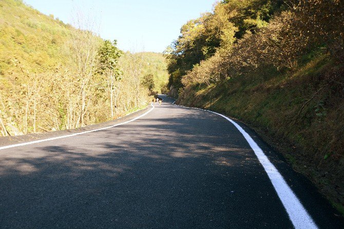 Trabzon’da Kırk Yıllık Asfalt Yol Özlemi Sona Erdi