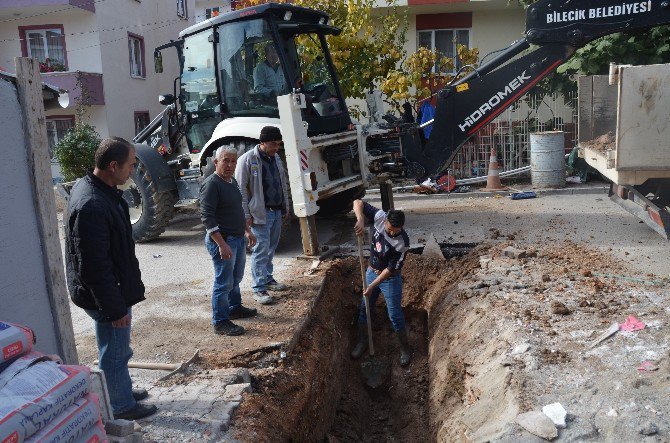 Bilecik Belediyesi Kenti Güzelleştiriyor