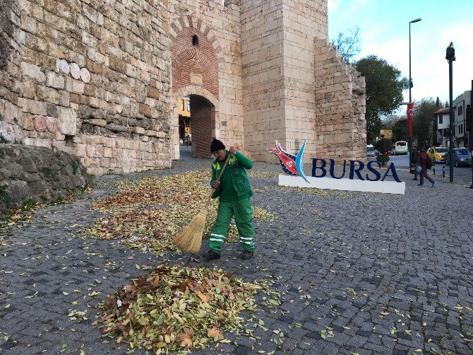 Lodos Bursa’da Hayatı Olumsuz Etkiledi