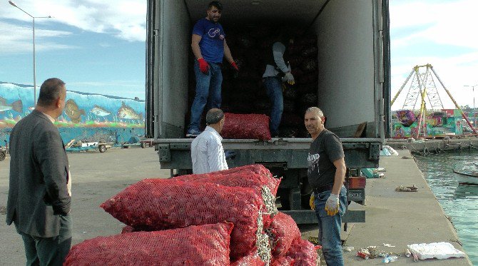 Karadeniz’den Asya Ülkelerine ’Deniz Salganyozu’ İhraç Ediyorlar