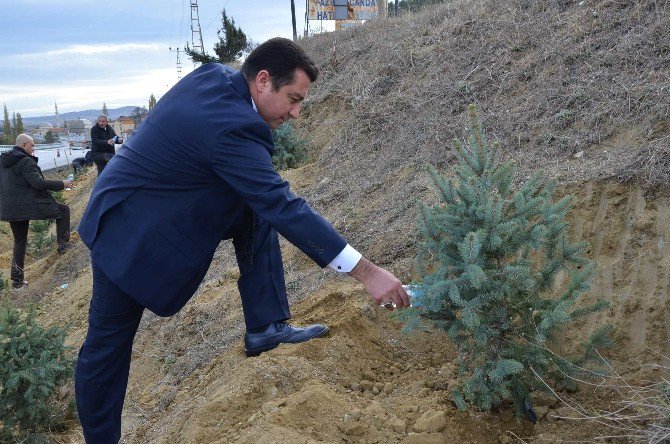 Meclis Üyeleri Fidan Dikiminde Bir Araya Geldi