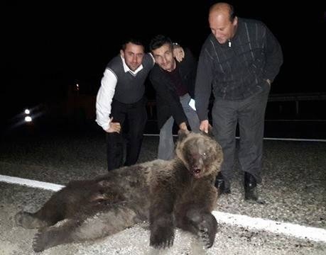 Telef Ettikleri Ayı İle Fotoğraf Çekildiler