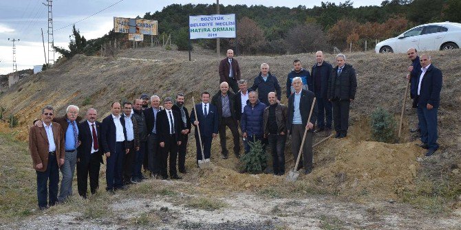 Meclis Üyeleri Fidan Dikiminde Bir Araya Geldi