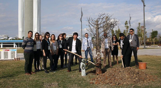 Zimbabve, Afkira’nın Sembolü ‘Baobab Ağacı’nı Expo 2016’ya Hediye Etti