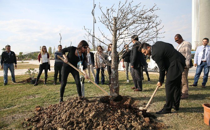 Zimbabve, Afkira’nın Sembolü ‘Baobab Ağacı’nı Expo 2016’ya Hediye Etti