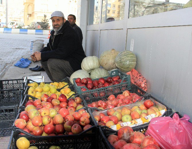 Zabıtalara Kızdı, Sebzelerini Yola Saçtı