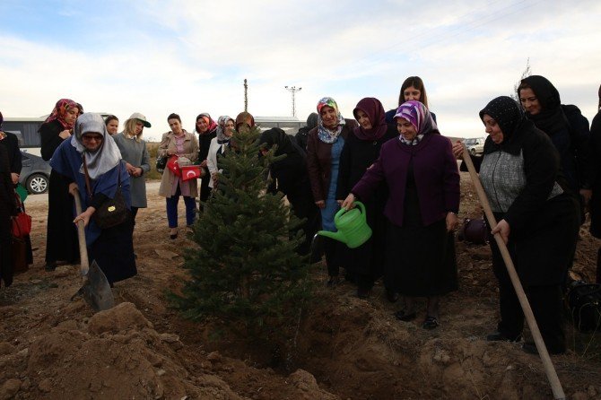 Gönül Elçilerinden 15 Temmuz Şehitleri’ne Hatıra Ormanı