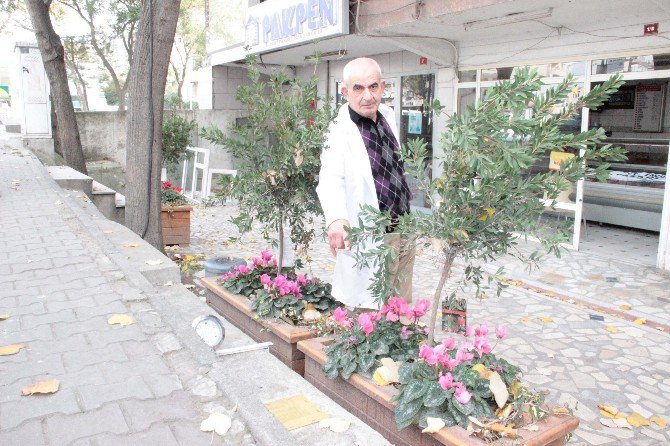 Tombili’nin Heykelinin Çalınması Çevre Sakinlerini Üzüntüye Boğdu