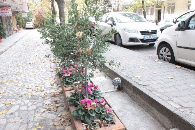 Tombili’nin Heykelinin Çalınması Çevre Sakinlerini Üzüntüye Boğdu