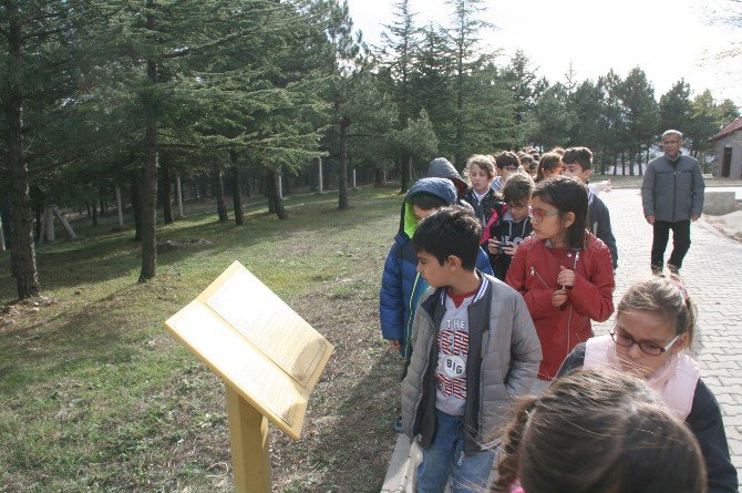 Tarihi Yerinde Öğrendiler