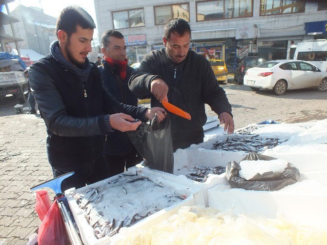 Malazgirt’te Balık Bolluğu