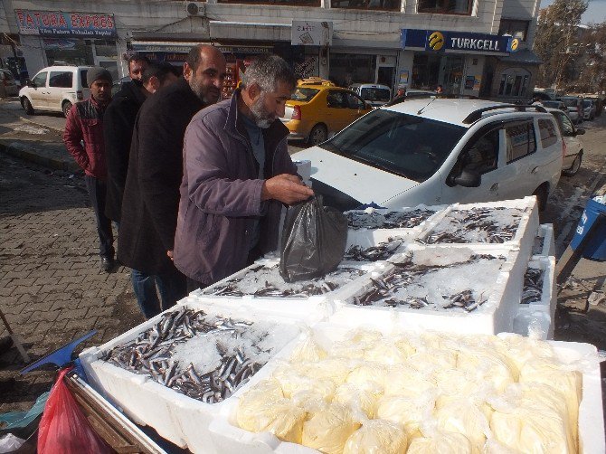 Malazgirt’te Balık Bolluğu