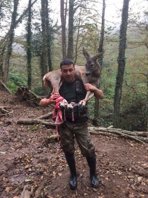 Yaralı Karacayı 3 Kilometre Omuzunda Taşıdı