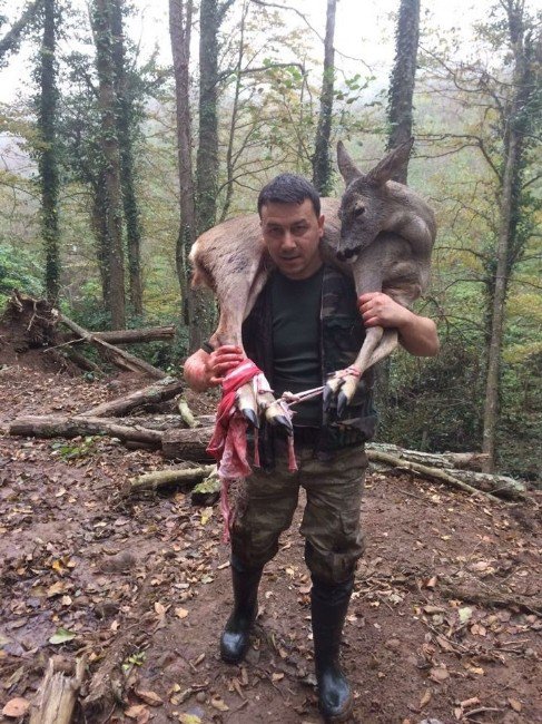 Yaralı Karacayı 3 Kilometre Omuzunda Taşıdı