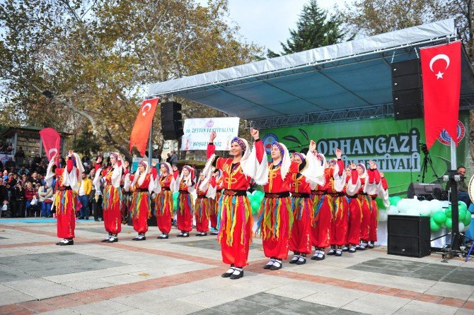 Zeytin Festivalinde Renkli Görüntüler