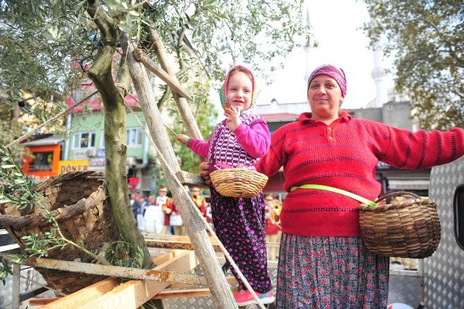 Zeytin Festivalinde Renkli Görüntüler