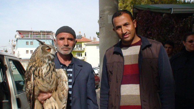 Yaralı ’Puhu’ Kuşuna Vatandaşlar Sahip Çıktı