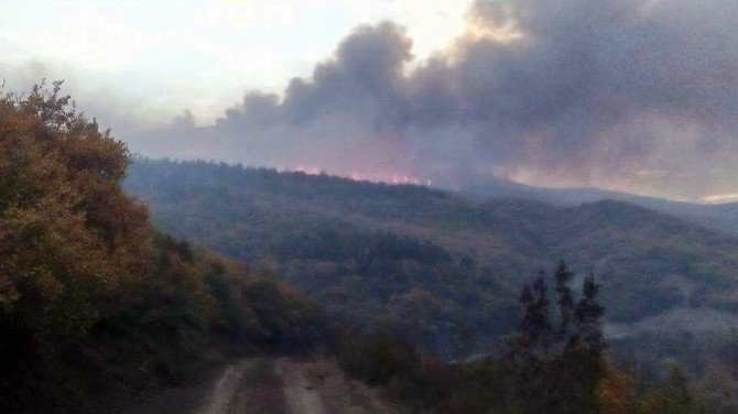 Balıkesir’de Orman Yangını