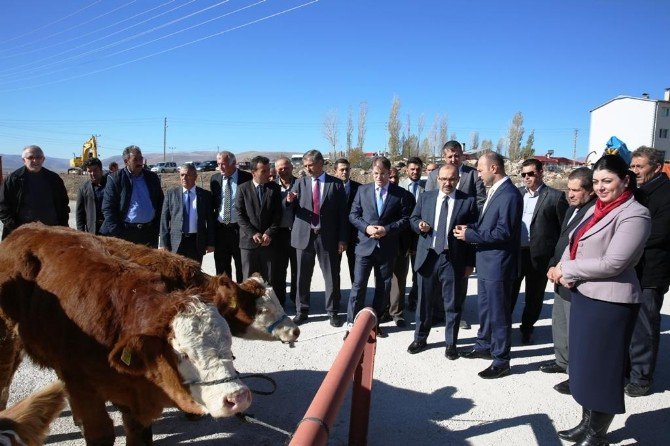 Genç Çiftçilere Hibeleri Verilmeye Başlandı