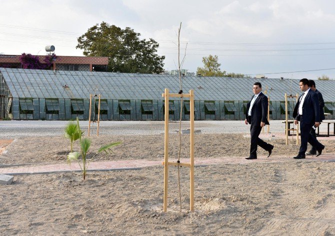 Başkan Tütüncü, Park Çalışmalarını İnceledi