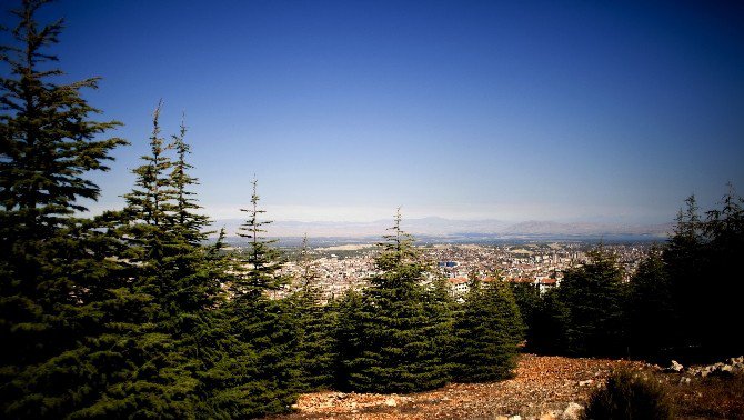 Malatya’nın Rüyası Gerçek Oldu