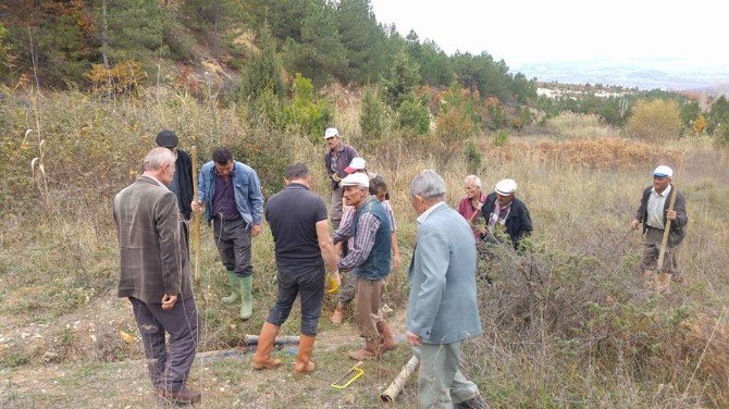 Şifalı Sıcak Su Boruları Doğal Yöntemle Temizleniyor