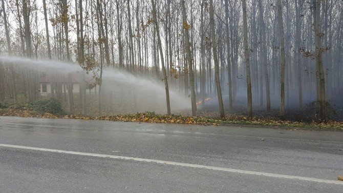 Anız Yangını Büyümeden Söndürüldü