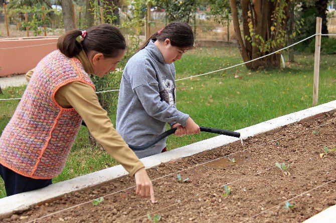 Engelsiz Hobi Bahçelerinde Kış Sezonu Başladı