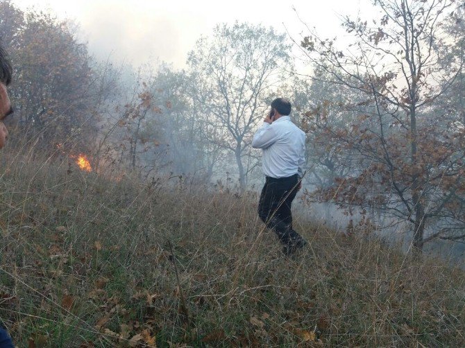 Biga’da 5 Hektar Tarım Arazisi Yandı