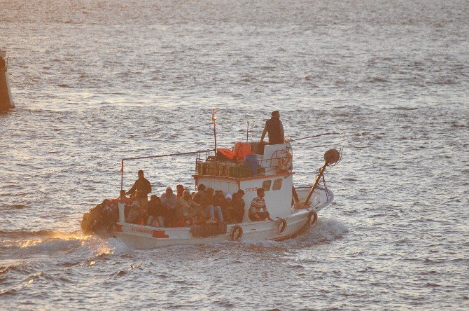 Çanakkale Boğazı’ndaki Gemiden 370 Kaçak Çıktı