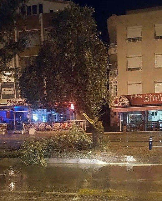 Didim’de Etkili Fırtına Yaşamı Olumsuz Etkiledi