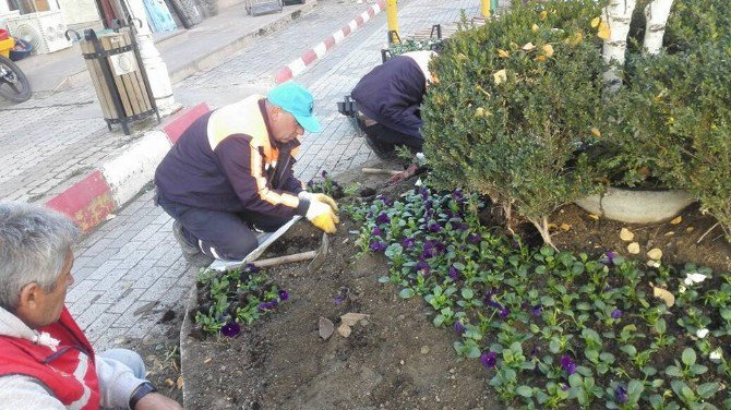 Sungurlu Güzelleşiyor