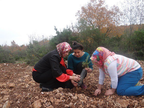 Gölpazarı’nda İlk Hatıra Ormanı