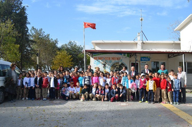 Karesi Belediyesi, Çocuklara Hayvan Sevgisini Aşıladı