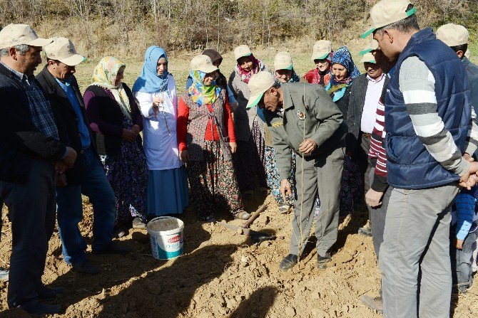 Büyükşehir’den İpekböcekçiliğine Destek