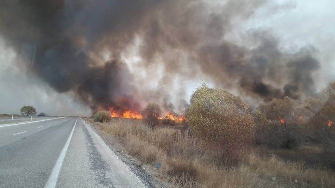 Beyşehir Gölü Milli Parkı’nda Sazlık Yangını