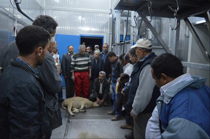 İvrindi’de Kurban Kesim Kursları İlgi Gördü