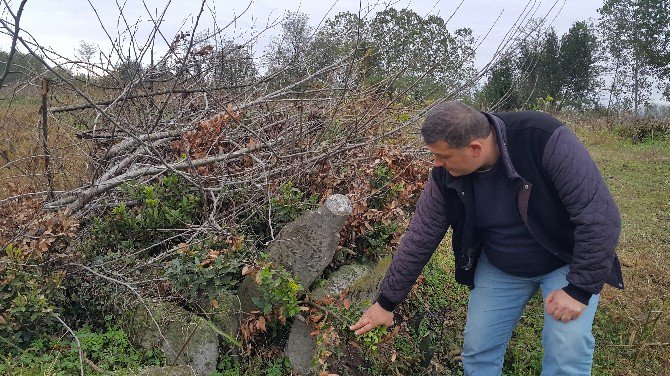 Tarihi ’Paşa Mezarlığı’ İlgi Bekliyor