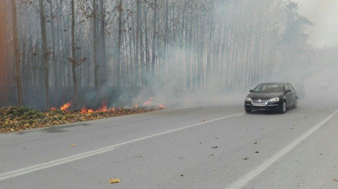 Anız Yangını Büyümeden Söndürüldü